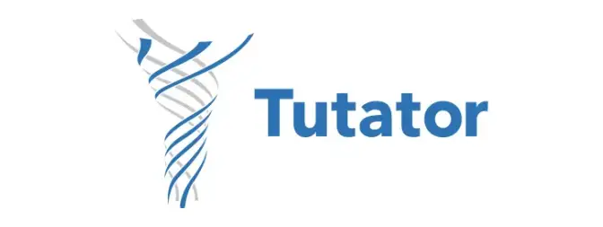Tutator Development Corporation digital project by Cristian Leyton